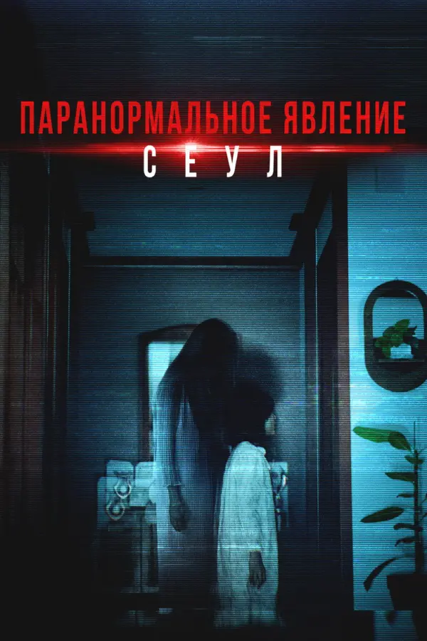Домашняя камера — постер
