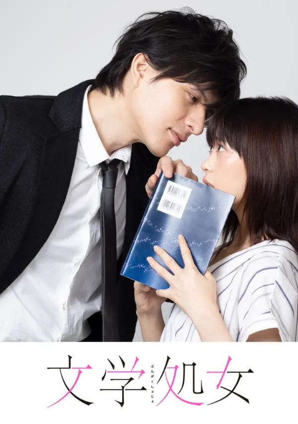 Литературная девушка — постер