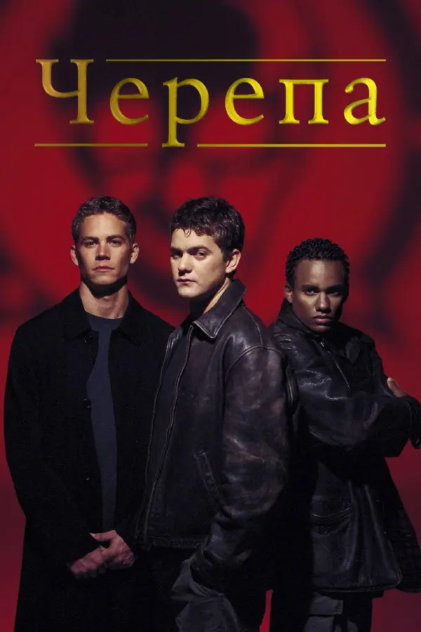 Черепа 1