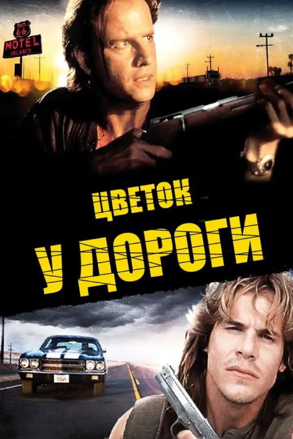 Цветок у дороги