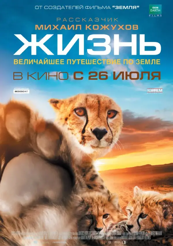 Жизнь — постер