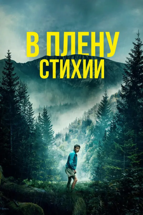 В плену стихии — постер