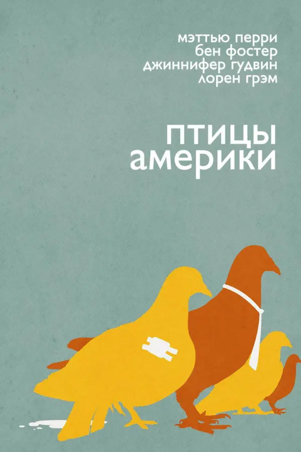 Птицы Америки
