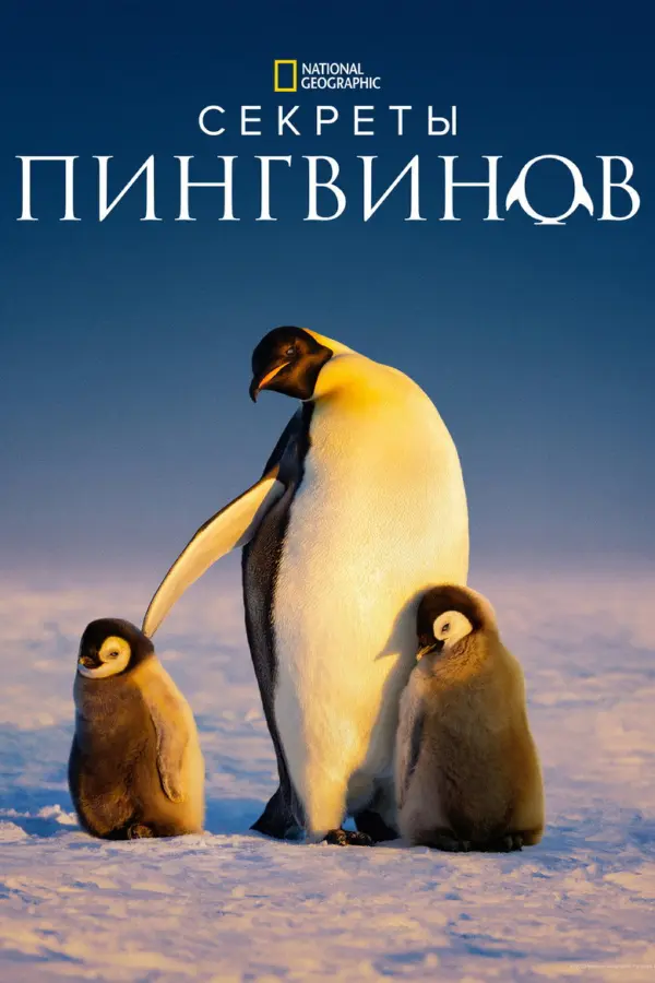 Secrets of the Penguins