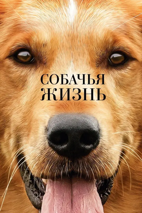 Собачья жизнь 1