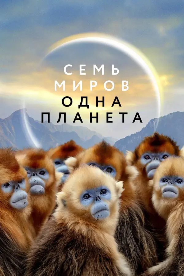 Семь миров, одна планета
