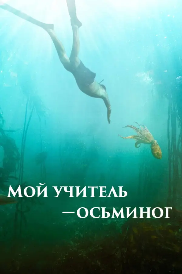 Мой учитель-осьминог — постер